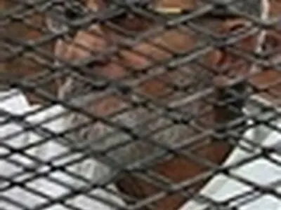 حکم اعدام رهبر اخوان المسلمین مصر لغو شد