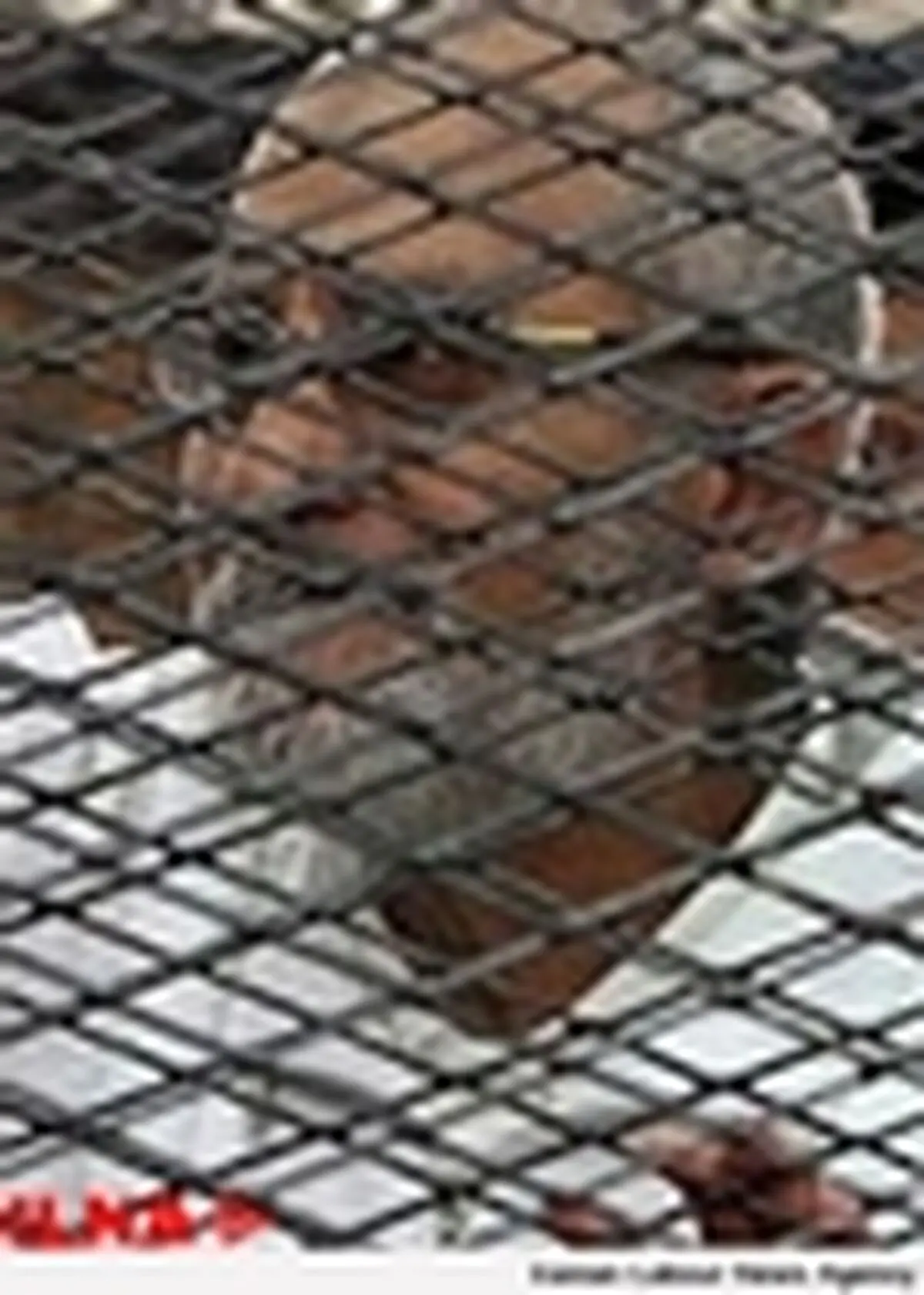 حکم اعدام رهبر اخوان المسلمین مصر لغو شد