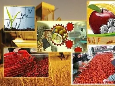 اعلام نتایج اولیه ششمین سرشماری عمومی کشاورزی در استان مرکزی / نتایج نهایی اردیبهشت ماه اعلام می‌شود 