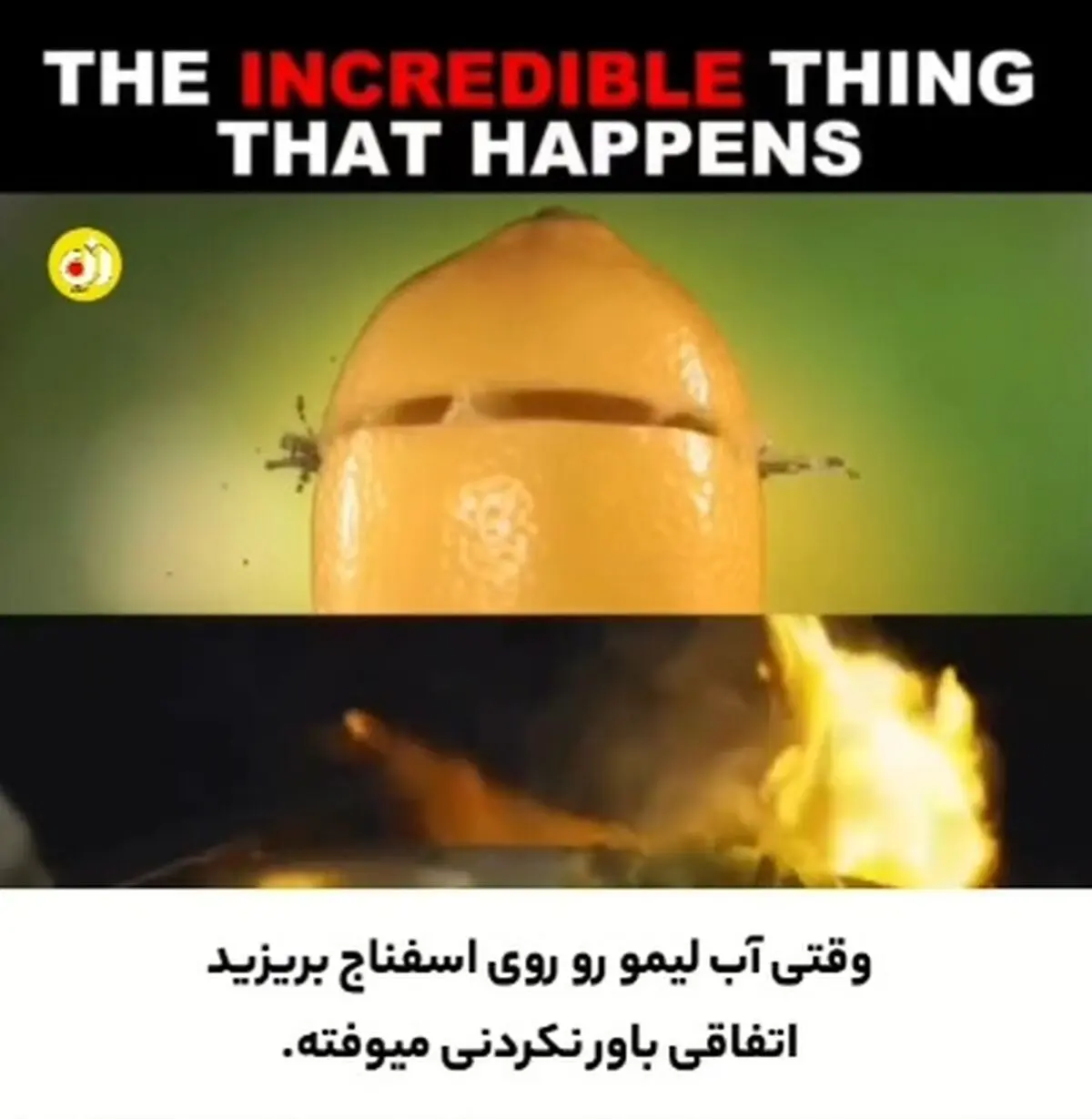 با این روش جذب آهن اسفناج رو بیشتر کنید + فیلم