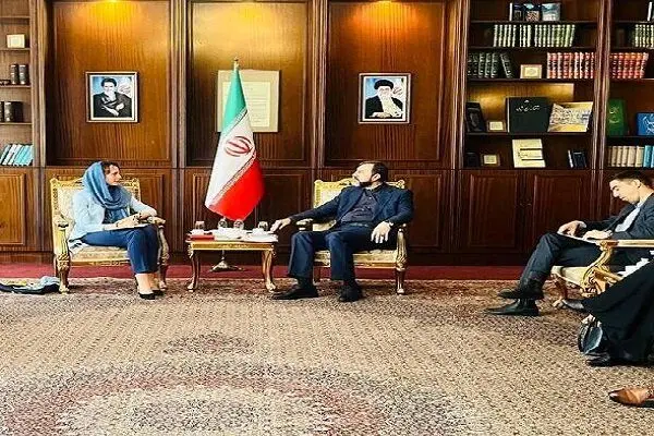 دیدار غریب‌آبادی با گزارشگر ویژه سازمان ملل