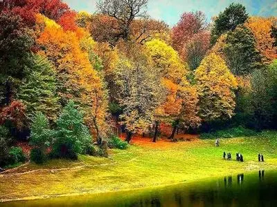 از گرگان چه چیزهایی می‌توانیم بخریم