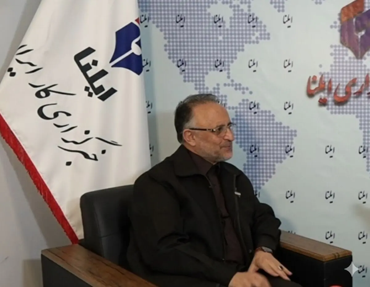 صنعت چوب و کاغذ ایران در آستانه ورشکستگی است/ قانون «تنفس جنگل» باید اصلاح شود