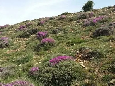 asdasd