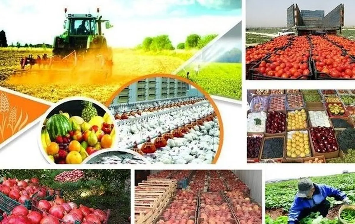 حمایت همه جانبه از بخش کشاورزی رویکرد وزارت‌ جهاد کشاورزی است / اختصاص تسهیلات 85 درصدی برای آبیاری نوین