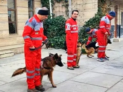 برگزاری دوره توان‌افزایی و بازتوانی سرمربیان و سگ‌های جست‌وجو و نجات کشور