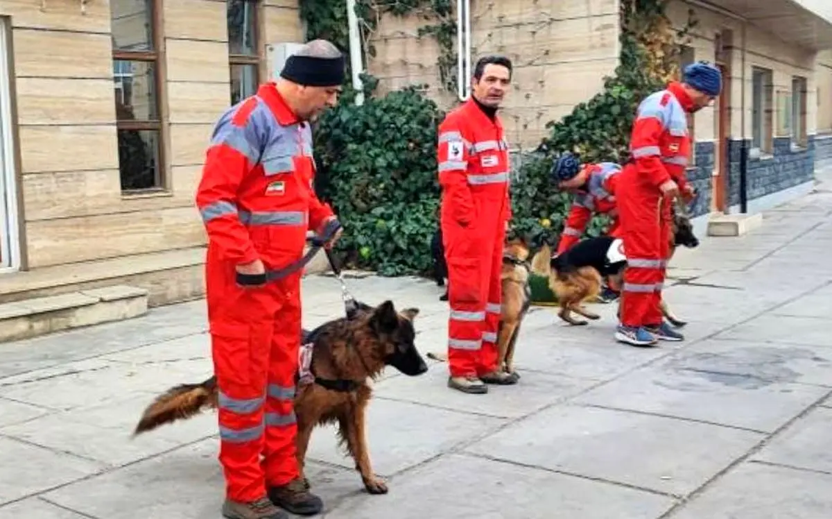 برگزاری دوره توان‌افزایی و بازتوانی سرمربیان و سگ‌های جست‌وجو و نجات کشور