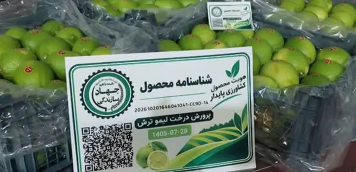 کد کیوآر برای اولین بار بر محصول خرما و لیموترش فارس نصب شد