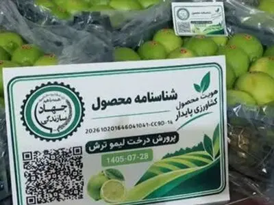کد کیوآر برای اولین بار بر محصول خرما و لیموترش فارس نصب شد