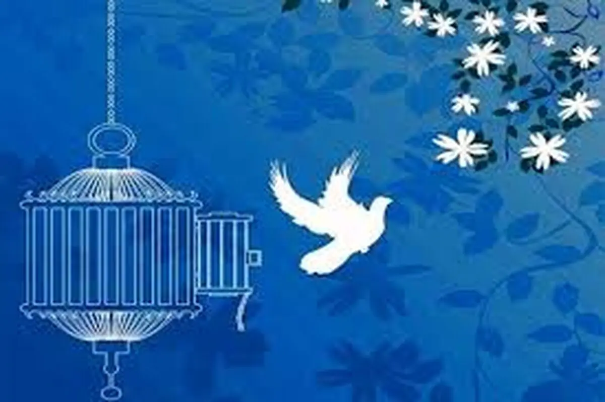 گلریزان‌های آزادی زندانیان مجازی شد/ ۶۷۰۰ زندانی غیرعمد چشم انتظار خیرین