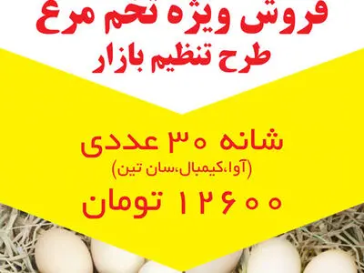 فروش ویژه تخم مرغ طرح تنظیم بازار در افق کوروش