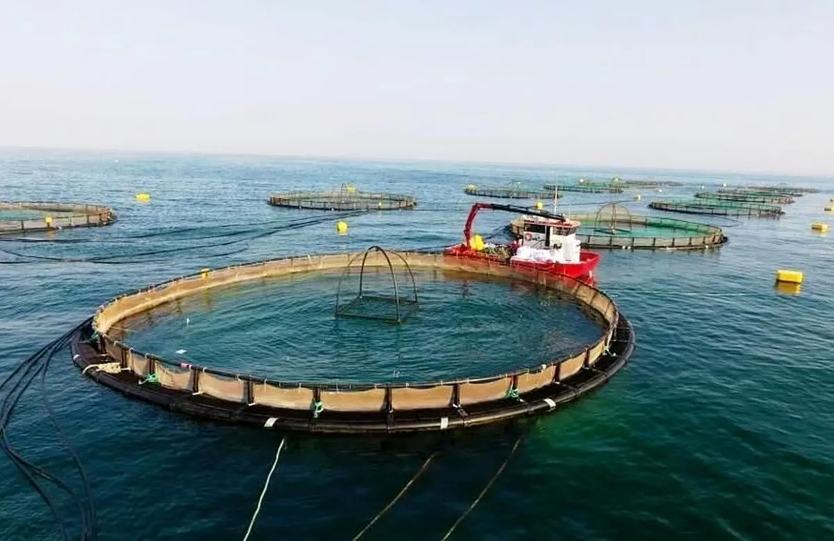 اجرای شش طرح بزرگ شیلاتی در هرمزگان