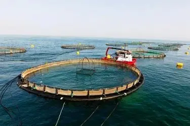 اجرای شش طرح بزرگ شیلاتی در هرمزگان