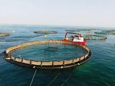 اجرای شش طرح بزرگ شیلاتی در هرمزگان