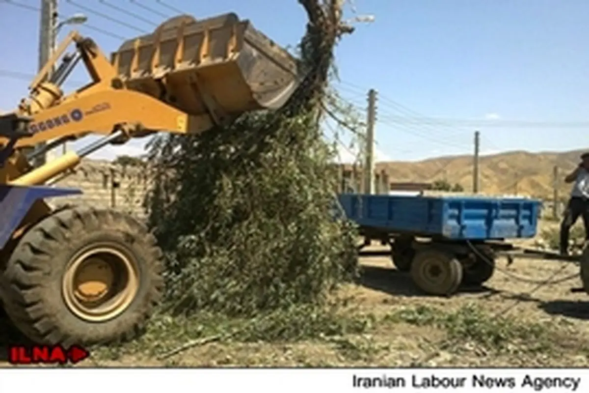 تب مالت ۷۲ نفر از مردم روستای «چشمه گچ» را مبتلا کرد