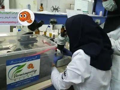 ویژگی‌های منحصر به فرد ورمی کمپوست