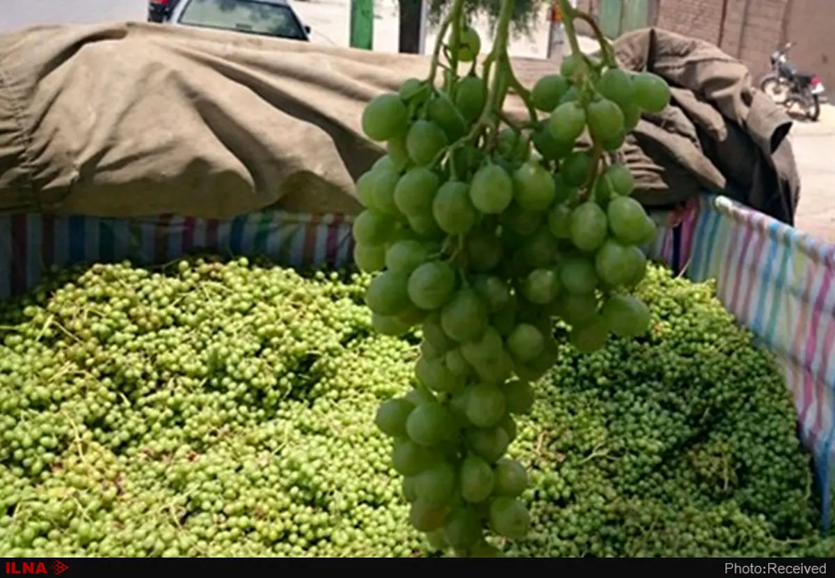 آبغوره گیری، باقلوای سنتی و  ۳۴پرونده دیگر در فهرست میراث ناملموس ثبت شدند