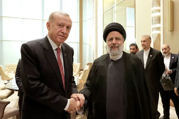 Raisi, Erdogan discuss Gaza crisis, stress importance of upcoming OIC meeting