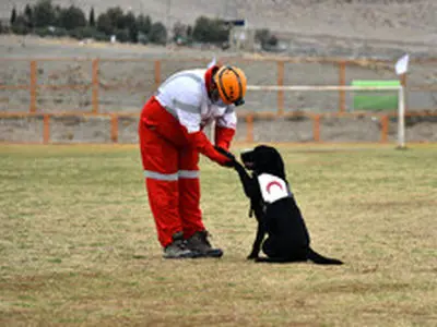 تجهیز سگ‌های زنده‌یاب هلال‌احمر به سامانه‌های هوشمند موقعیت یاب