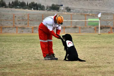 تجهیز سگ‌های زنده‌یاب هلال‌احمر به سامانه‌های هوشمند موقعیت یاب