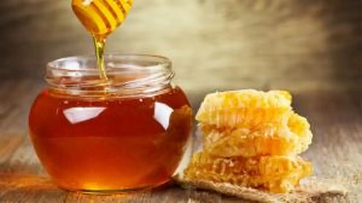 برگزاری نخستین جشنواره بومی محلی عسل در روئین اسفراین