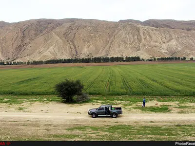 شناسایی بیش از ۲۲۰ اثر و محوطه تاریخی در لارستان