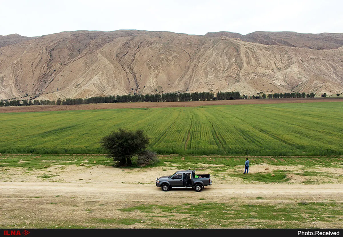 شناسایی بیش از ۲۲۰ اثر و محوطه تاریخی در لارستان