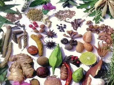 گیاهان دارویی، قاتل چربی خون بالا 