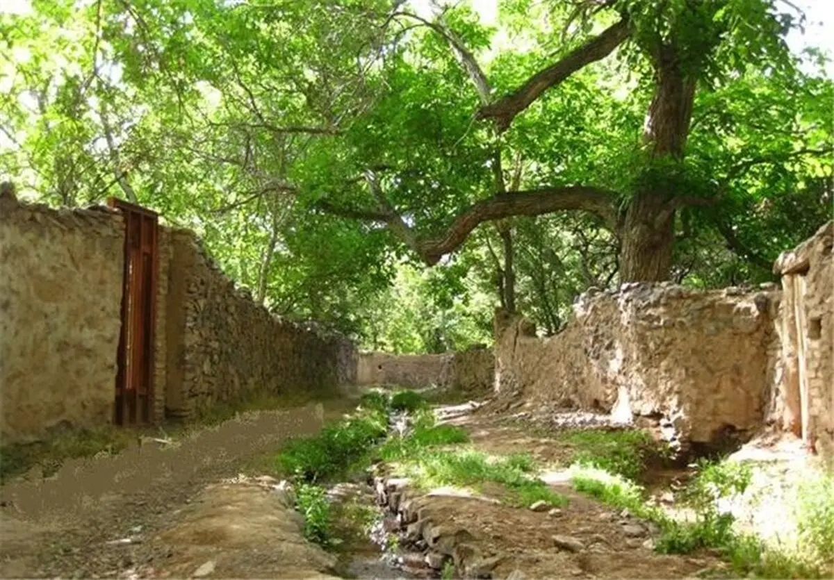 مخالفت جدی کمیسیون ماده ۵ با تغییر کاربری‌ها در هر نقطه استان  