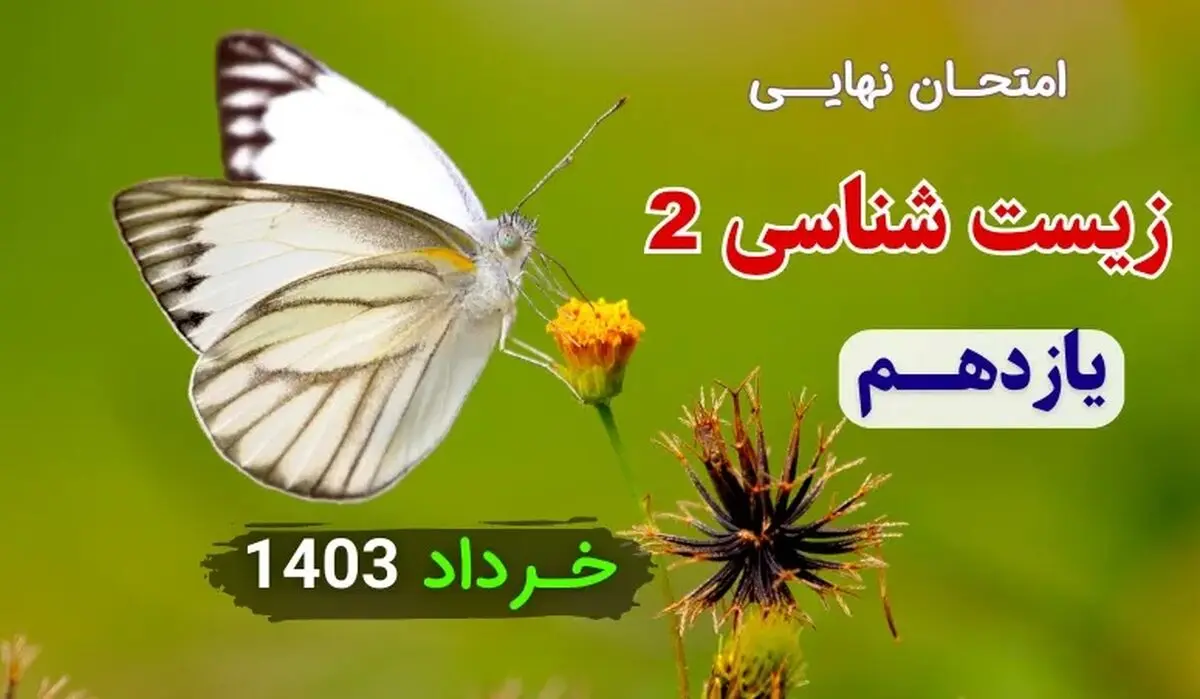 پاسخنامه تشریحی امتحان نهایی زیست شناسی یازدهم خرداد ۱۴۰۳ 