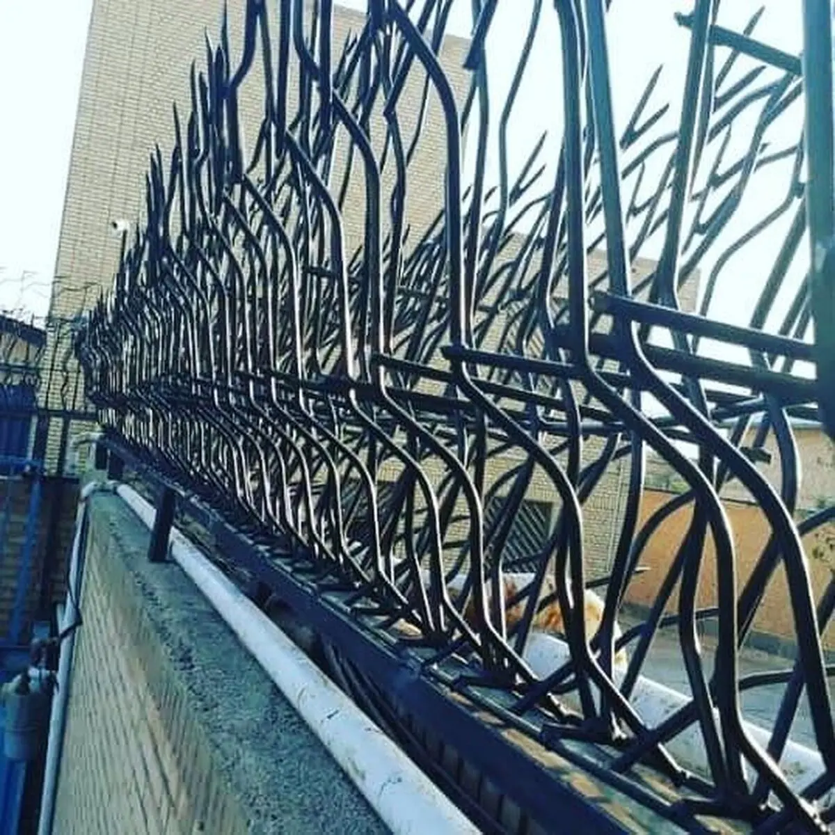 کاربرد انواع حفاظ‌ها برای تامین امنیت اماکن