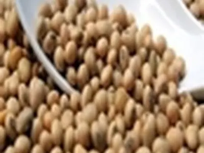 خریداری ۱۸۴ هزار و ۸۶۰ تن کنجاله از هند