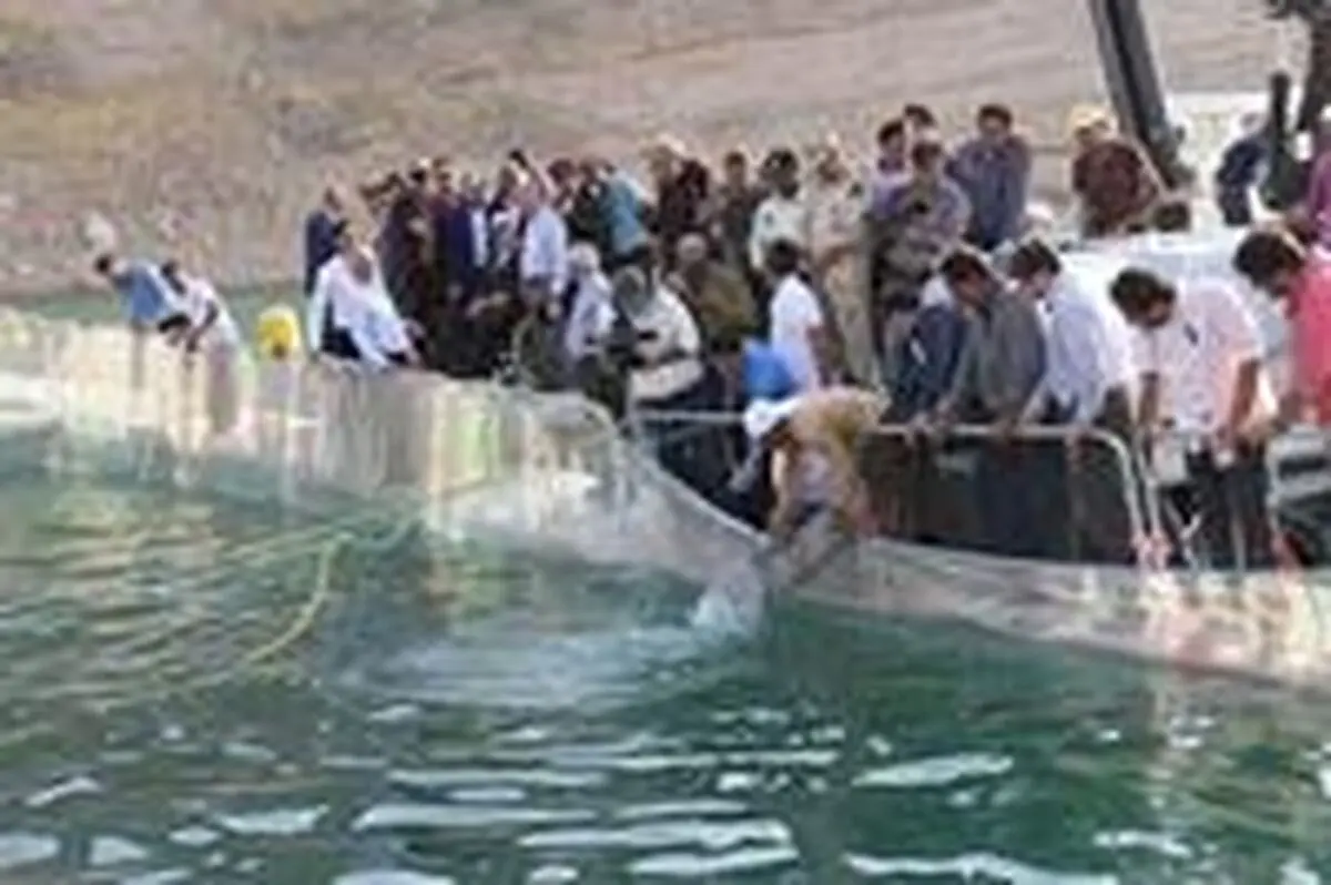 افتتاح فاز نخست بزرگترین طرح پرورش ماهی در قفس کشور با حمایت بانک کشاورزی 