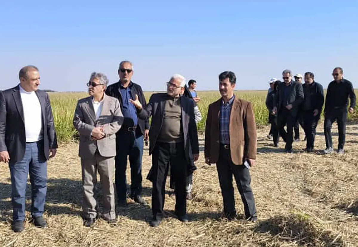 پیوند عمیق نیشکر با جامعه، رمز پایداری آن است/ نیشکر در سطح ملی و محلی جایگاه ویژه‌ای دارد
