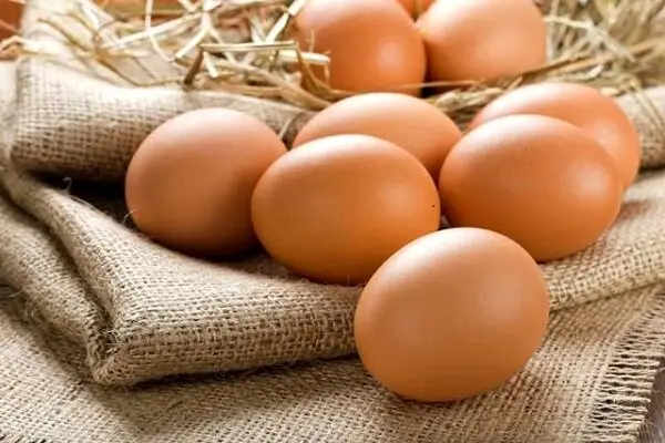 تخم مرغ گران شد/ قیمت هرکیلو تخم مرغ به 56 هزار تومان رسید 