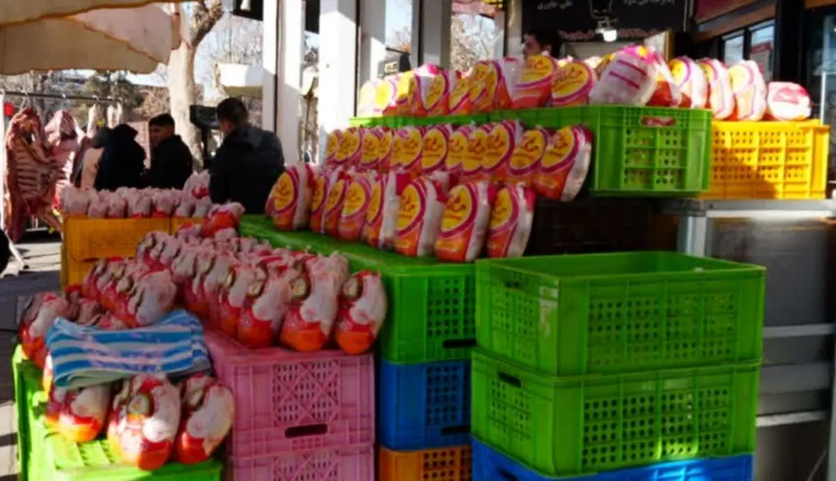 کشتار روزانه ۳۵۰ تن گوشت مرغ در آذربایجان غربی /هیچ کمبودی در تامین کالاهای اساسی استان وجود ندارد