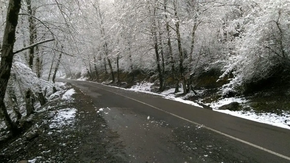 پیش بینی بارش برف در برخی نقاط جلگه در گیلان