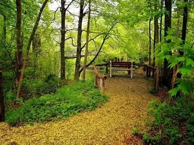 بهشت‌های پنهان گیلان؛ بهترین مسیرهای طبیعت‌گردی اطراف رشت برای یک سفر سبز و آرام