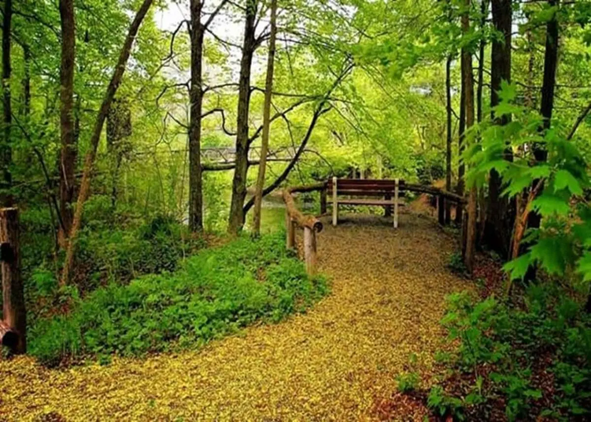 بهشت‌های پنهان گیلان؛ بهترین مسیرهای طبیعت‌گردی اطراف رشت برای یک سفر سبز و آرام