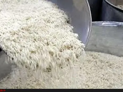 کیفیت برنج تایلندی بهتر از برنج هندی است/ واردات نباید بیش از نیاز صورت بگیرد