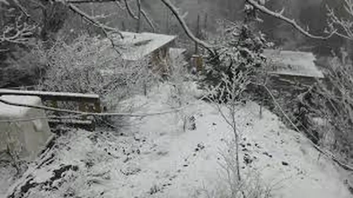 آغاز دوباره بارش ها و کاهش محسوس دما در گیلان 