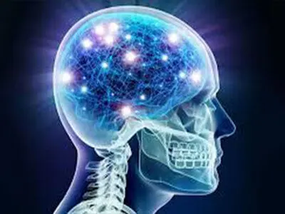 این نوشیدنی پرطرفدار فرآیند مغز را مختل می‌کند