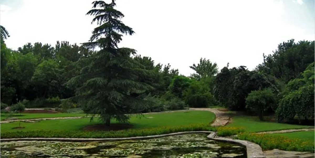 تاکنون ۲۴۰ گونه گیاهی در باغ گیاه‌شناسی خرم‌آباد بومی‌سازی و تثبیت شده است