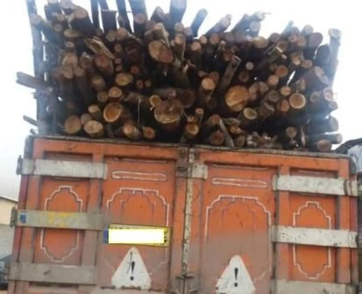 کشف  ۲تن چوب قاچاق در جوانرود کرمانشاه 