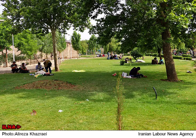 گالری