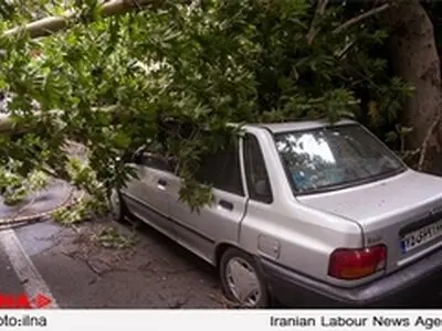 «بیمه بدنه» خسارت طوفان به خودروها را نمی‌پردازد