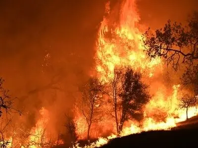 انتقاد مجدد ترامپ از نحوه مدیریت جنگل‌های کالیفرنیا