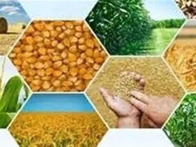 بخش کشاورزی بیشترین میزان سرمایه‌گذاری را در سفر ریاست جمهوری به استان را به خود اختصاص داد