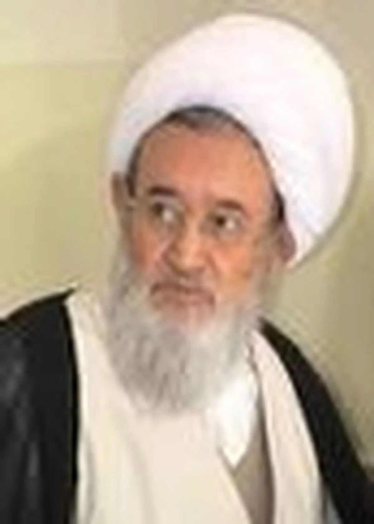 جوانان با‌تعصب ایرانی توانایی رفع مشکلات کنونی جامعه را دارند