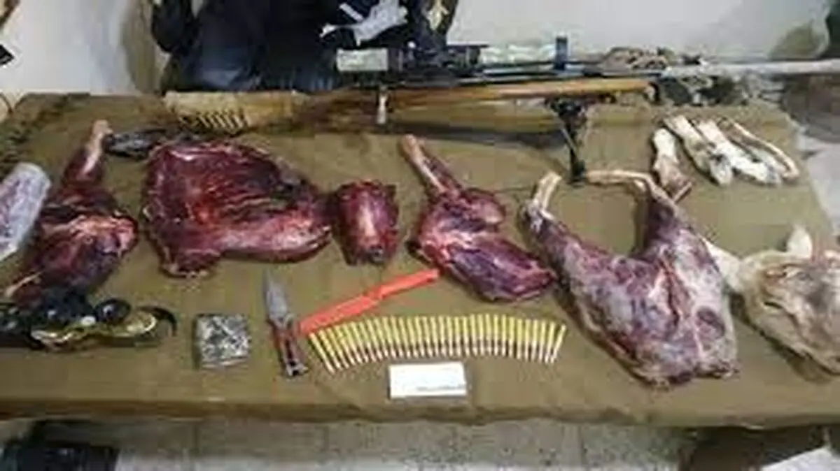 دستگیری سه شکارچی متخلف پرندگان در شادگان 